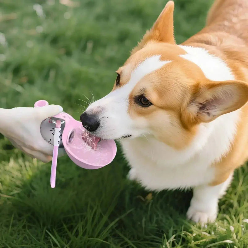 Portable 2-in-1 Dog Water Bottle for Small Breeds - Leak-Proof and Compact Stainless Steel Design with Silicone Components